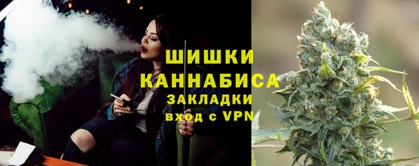 прущие грибы Абдулино