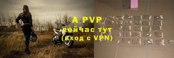 прущие грибы Абдулино