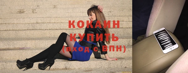 прущие грибы Абдулино
