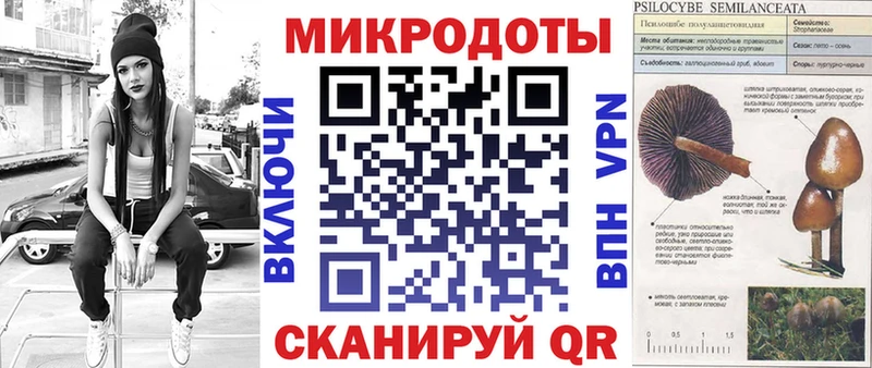 Псилоцибиновые грибы Psilocybe  Старая Купавна 