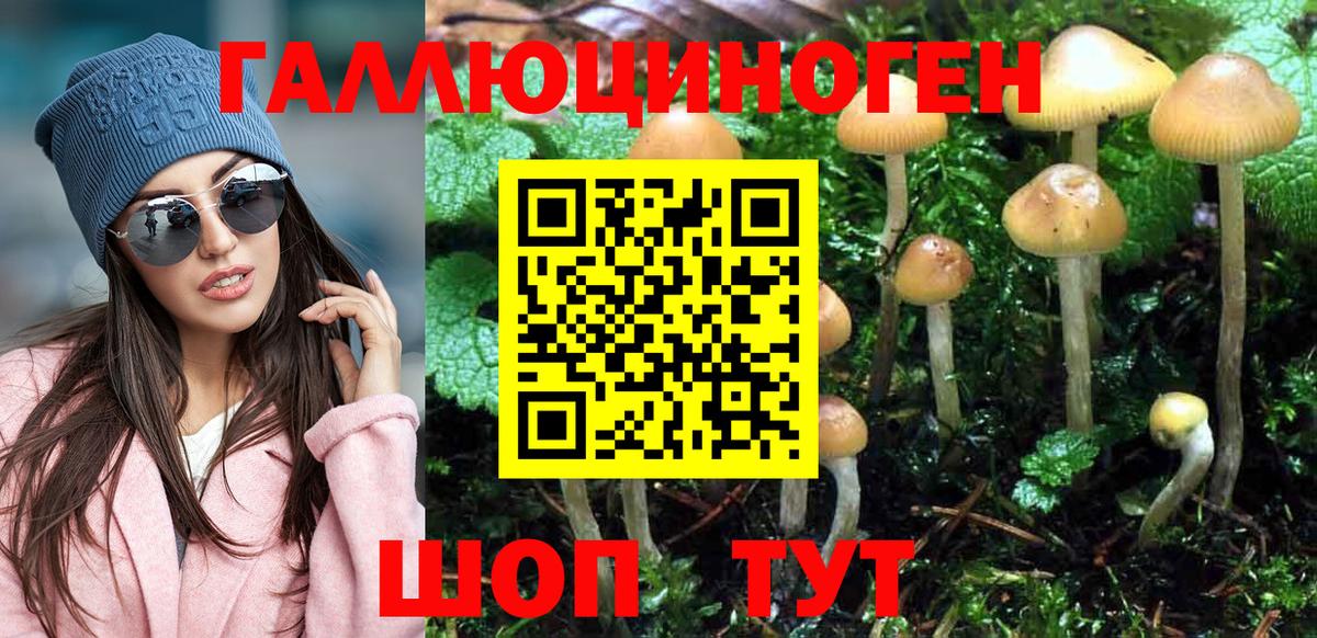 Псилоцибиновые грибы прущие грибы Старая Купавна