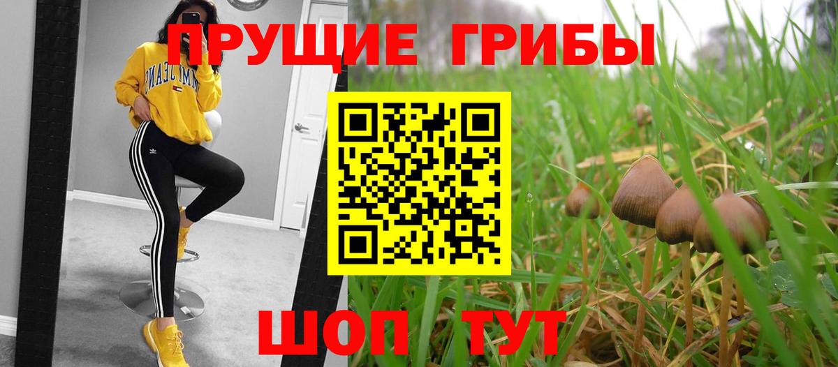 Старая Купавна  Галлюциногенные грибы мухоморы  цены   Вход с VPN 