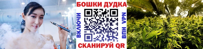 Марихуана Amnesia mega как войти Старая Купавна